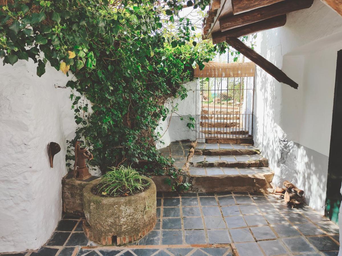 La Era De San Blas Fuentes de León Dış mekan fotoğraf